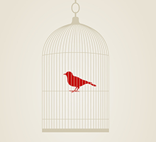 网站攻击软件工具