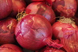 手机版ddos攻击器