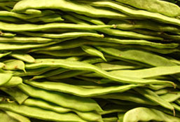 ddos网页在线攻击