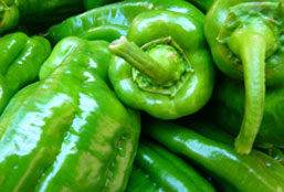 哪里买最靠谱的网页端ddos