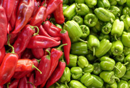 DDOS在线攻击平台